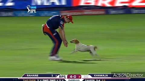 Dog makes cricketer run in the feild | IPL | Funny movements of cricket