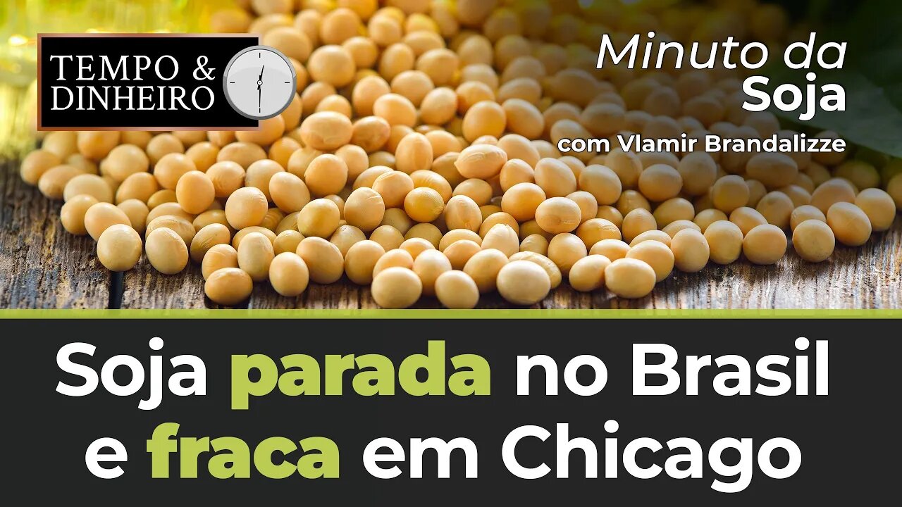 Soja parada no Brasil e fraca em Chicago