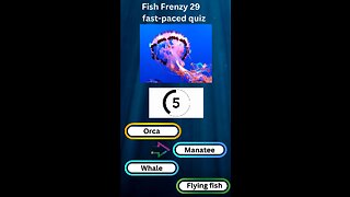 Fish Frenzy 29 A fast-paced quiz