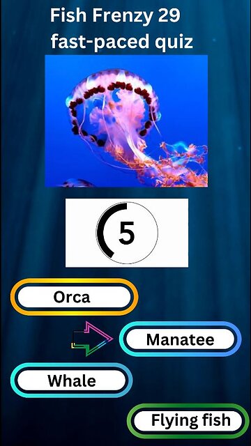 Fish Frenzy 29 A fast-paced quiz