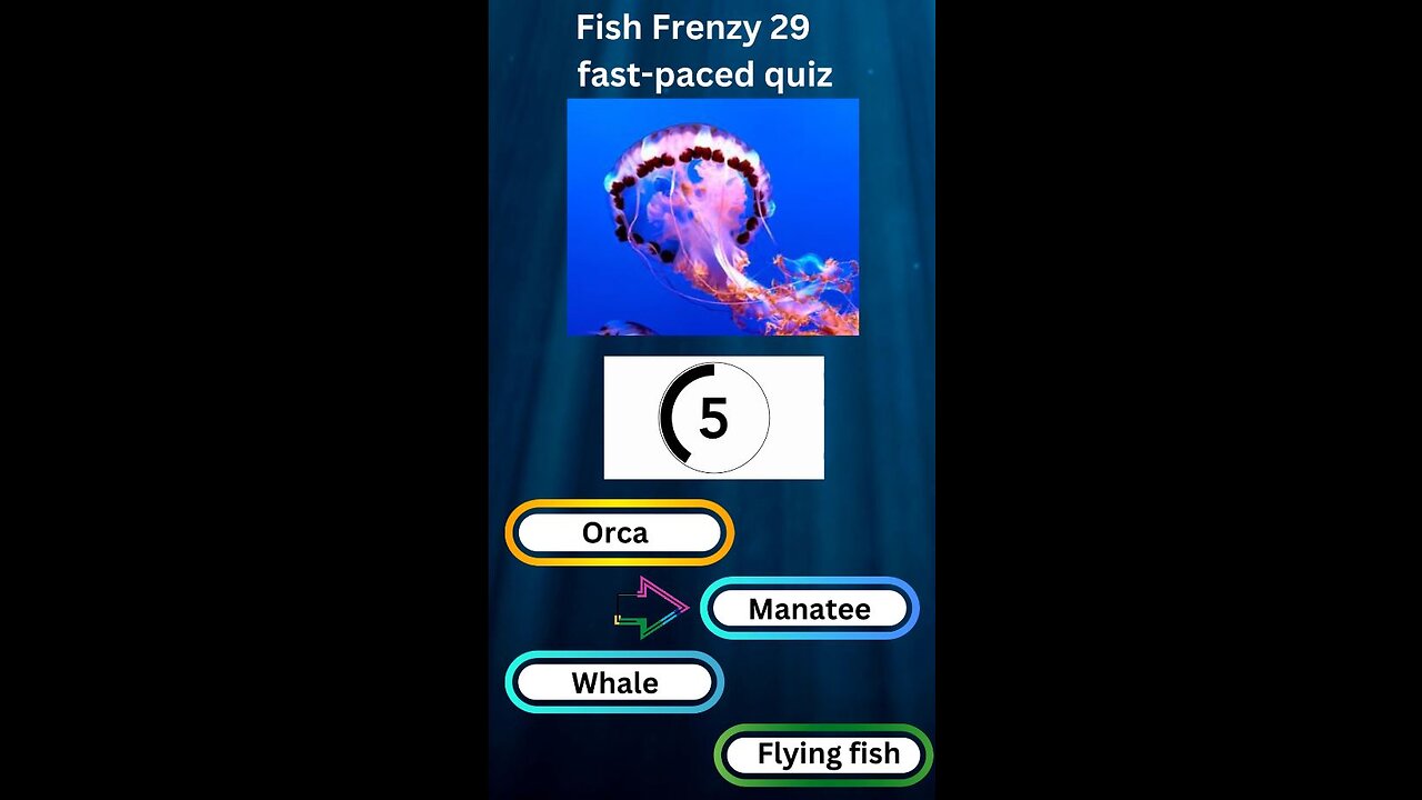 Fish Frenzy 29 A fast-paced quiz