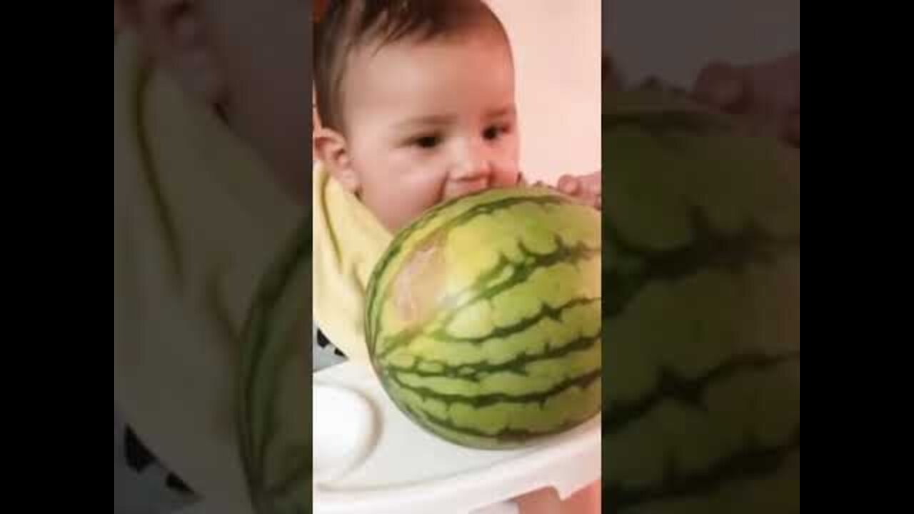 Funny Baby Videos eating fruits