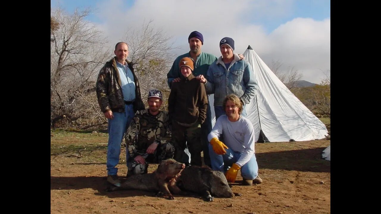 Javelina Archery Hunt in AZ