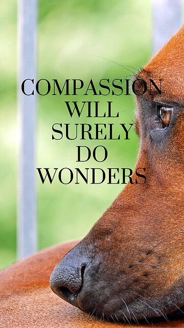 Healing Threads: The Power of Kindness and Compassion