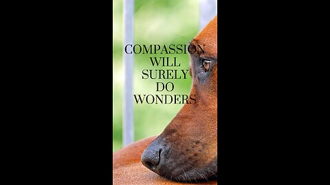 Healing Threads: The Power of Kindness and Compassion