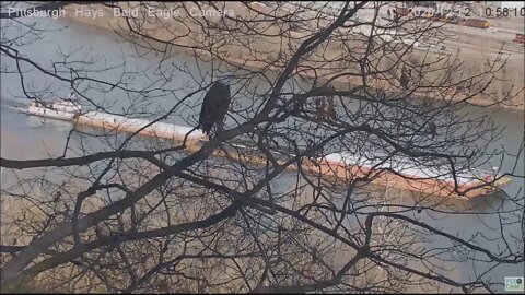 Hays Eagles Dad watches barge navigation 121220 1056pm