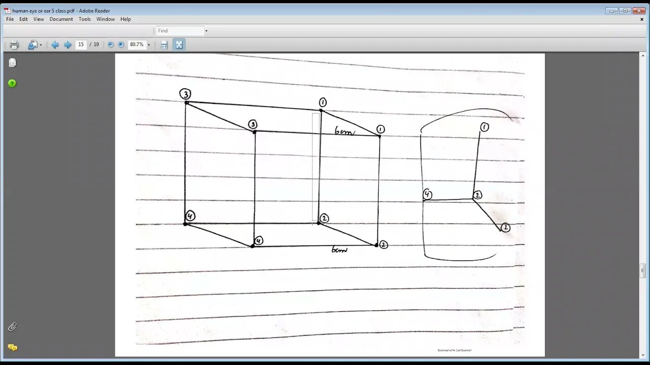 science class 6 29 04 2021