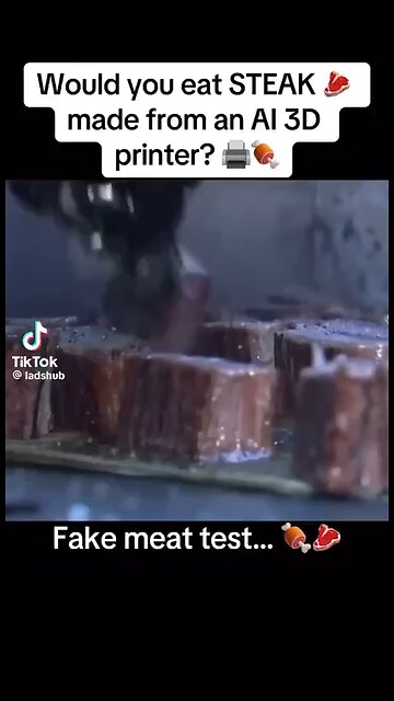 I’m Thinking NO. Fake Steak