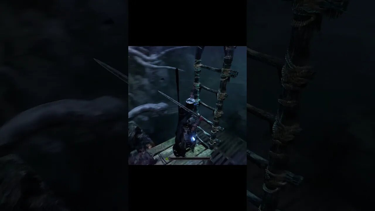 Lowering a ladder | Lords of the Fallen