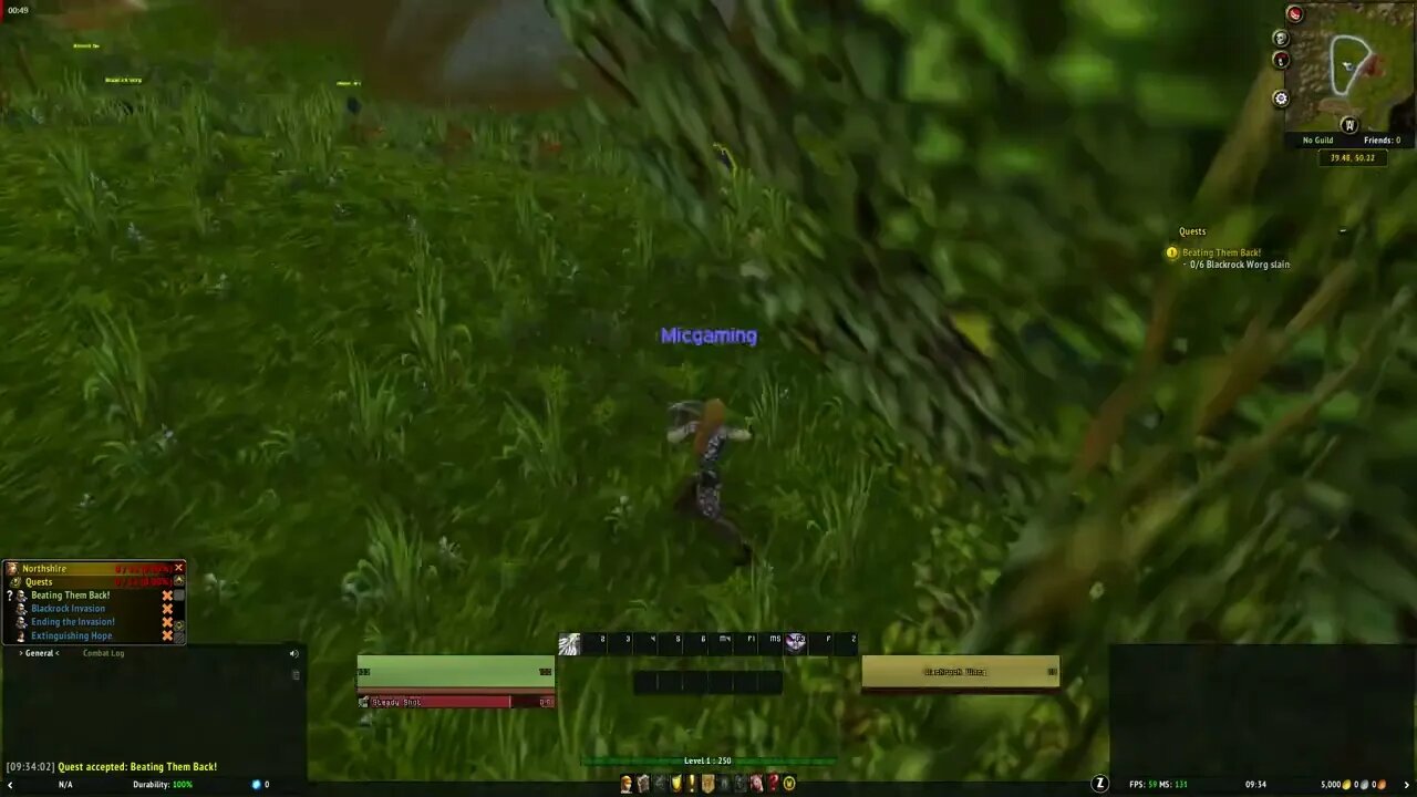 World of Warcraft MMORPG Beating Them Back