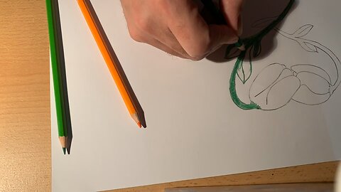 Drawing Tulips in Heart Shape