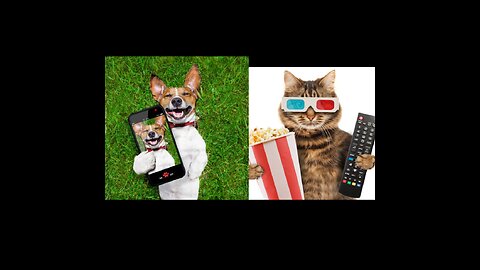 Best Funny Animal Videos 2023 🤣- Funniest Dogs And Cats Videos