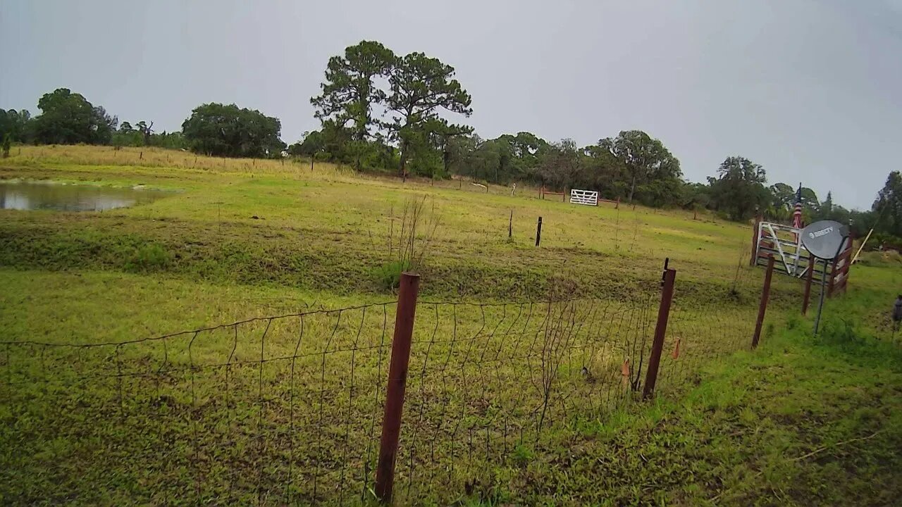 Rainy Friday at Venus Ranch..