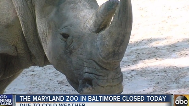 The Maryland Zoo in Baltimore closed Thursday due to cold weather