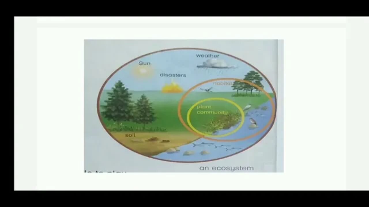 CLASS 3 SCIENCE UNIT 3 PART 2