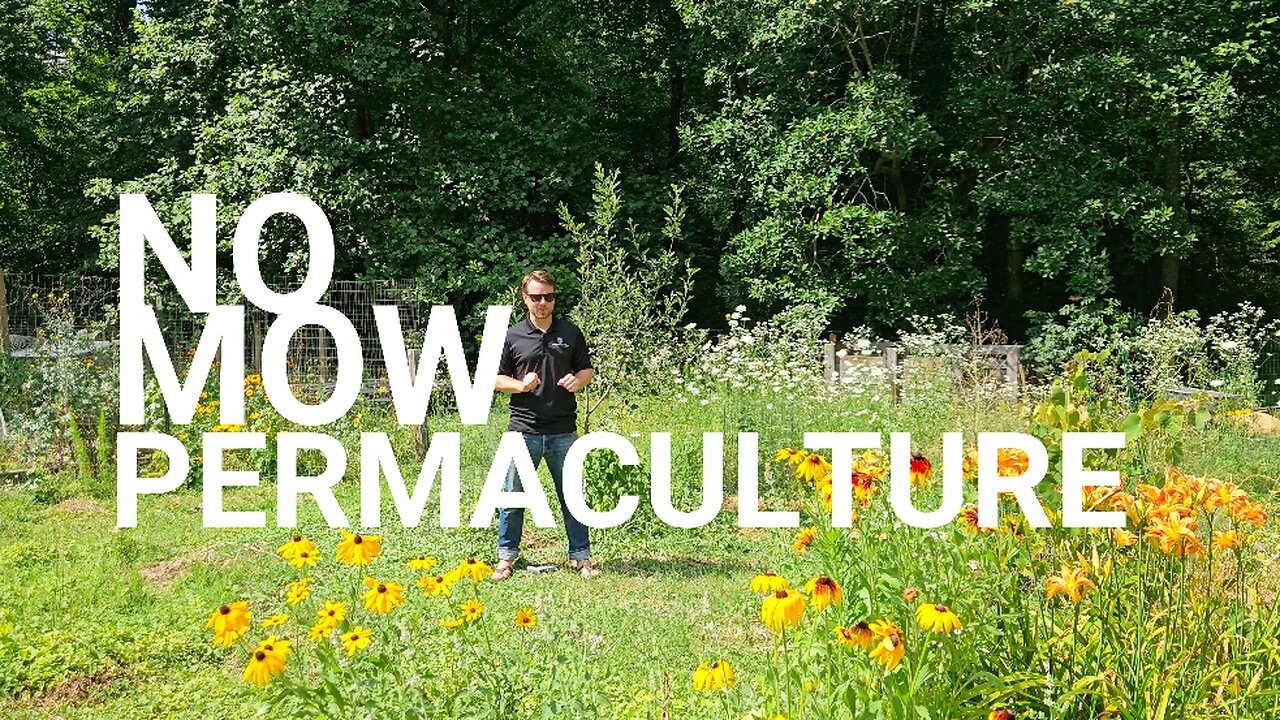 No Mow Permaculture