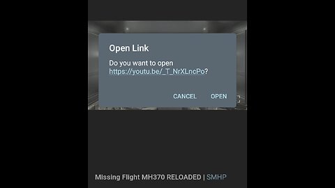 Documentary: Missing Flight MH370 & Following Events