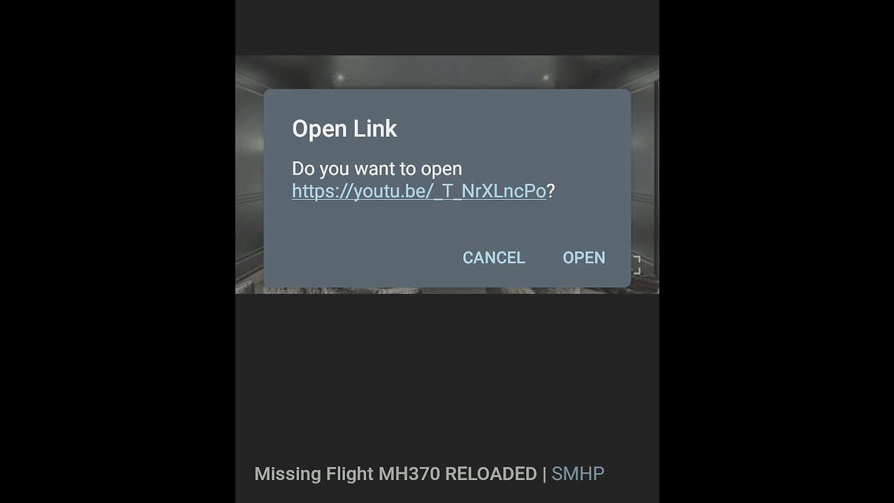 Documentary: Missing Flight MH370 & Following Events