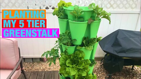 Planting my 5 tier Greenstalk tower