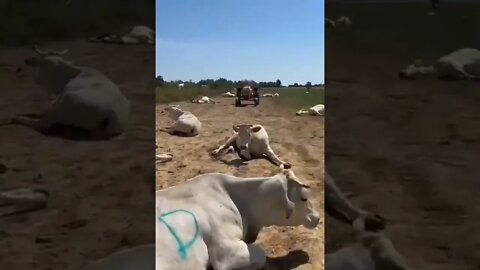 ۱۳ اوت ۲۰۲۲