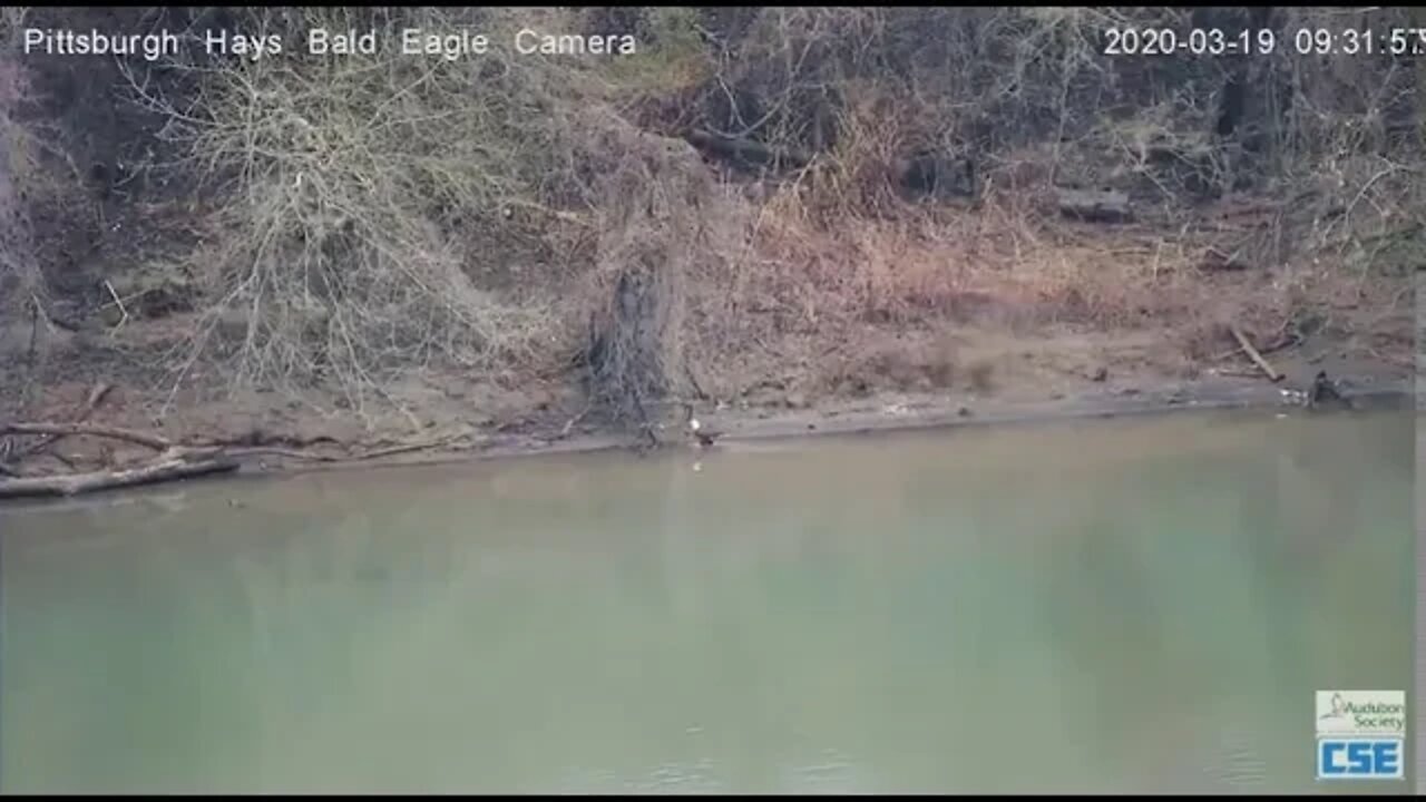 Hays Mom at the Monongahela River 2020 03 19 925am