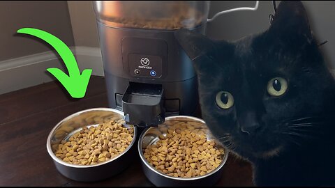 Feed Your Cats When You Aren't Home! - Automatic Pet Feeder Review