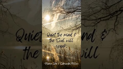 Quiet the Mind