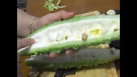 Bitter Melon Growing and Cooking