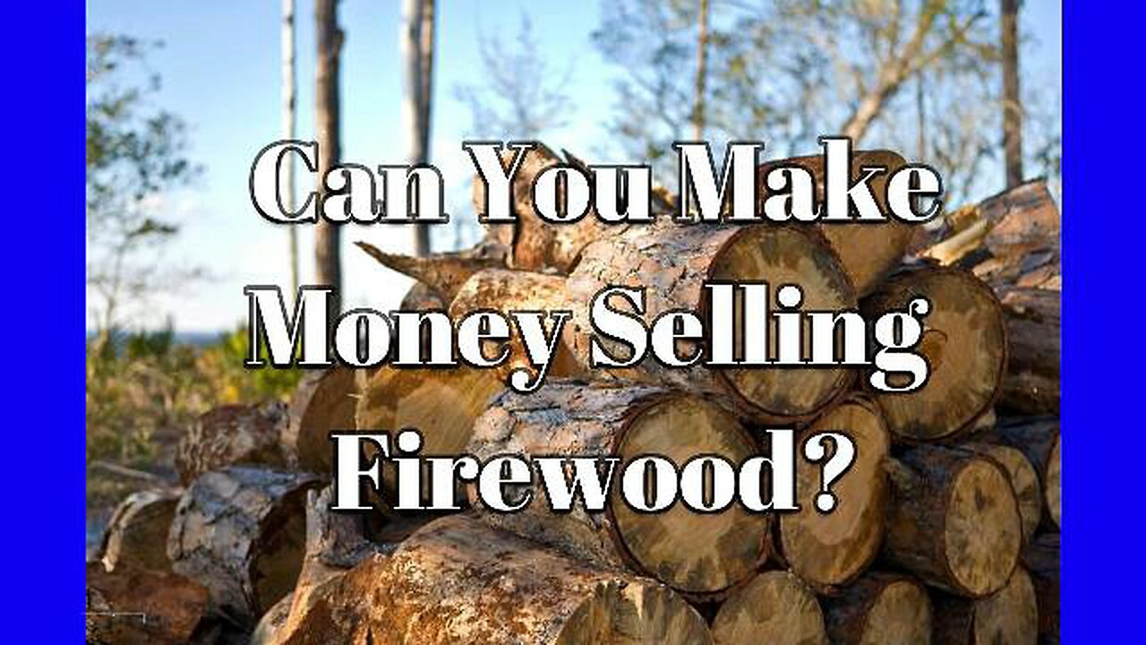 Can You Make Money Selling Firewood?