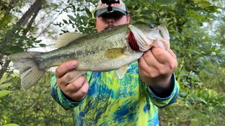 Having a Creek Fishing Adventure