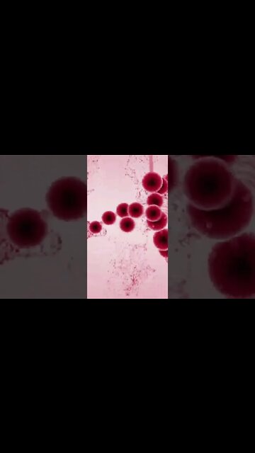 Optimize Your Fiber Intake By Knowing Inulin #short