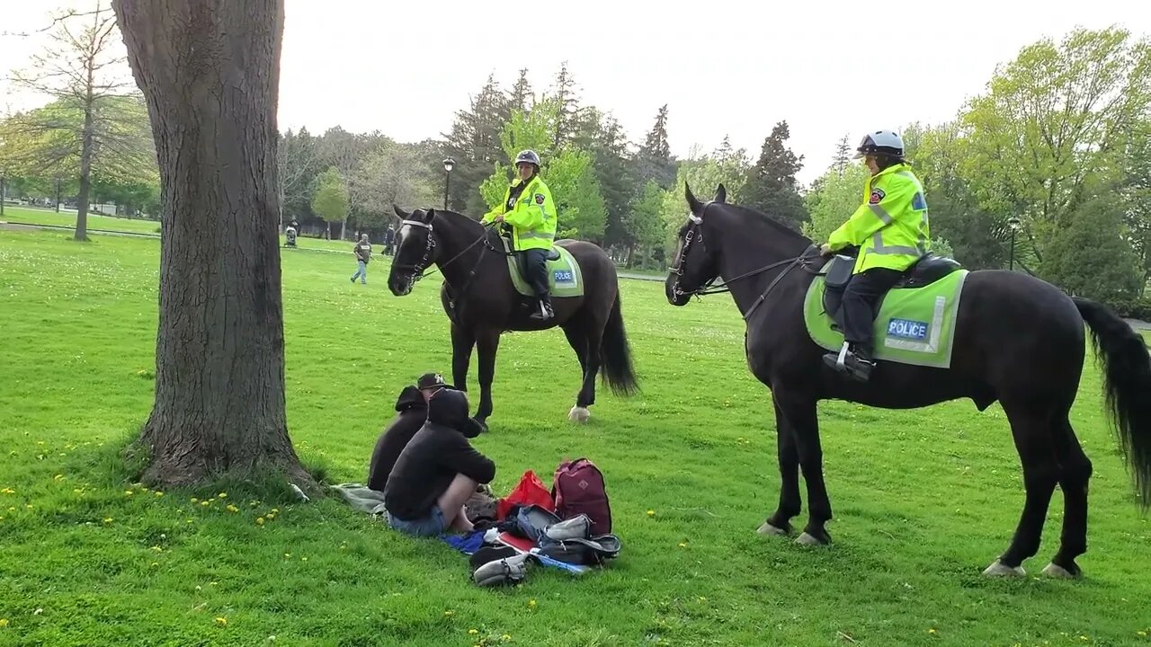 POLICE ON HORSES HARRASS PEOPLE