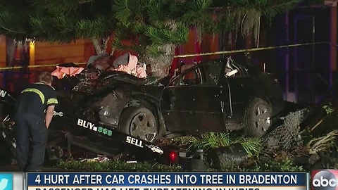 Four hurt after car crashes into tree in Bradenton