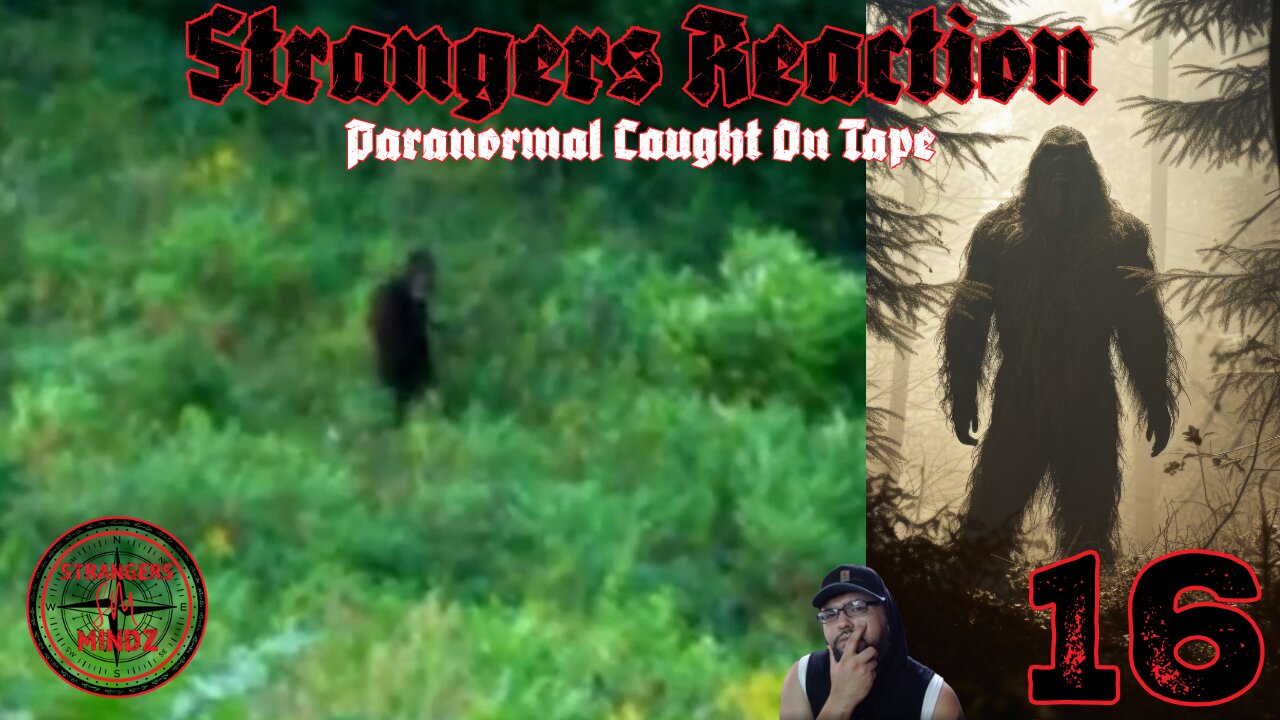 STRANGERS REACTION. Paranormal Caught On Tape. Paranormal Investigator Reacts. Episode 16