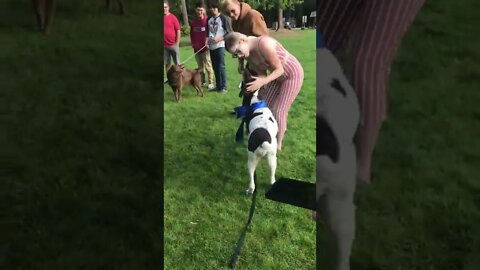 Barkmitzvah