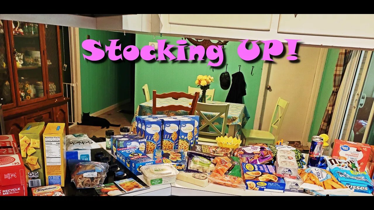 Food Storage Stock Up! Walmart Haul / Aldi Haul * Family of 5 * New Plants