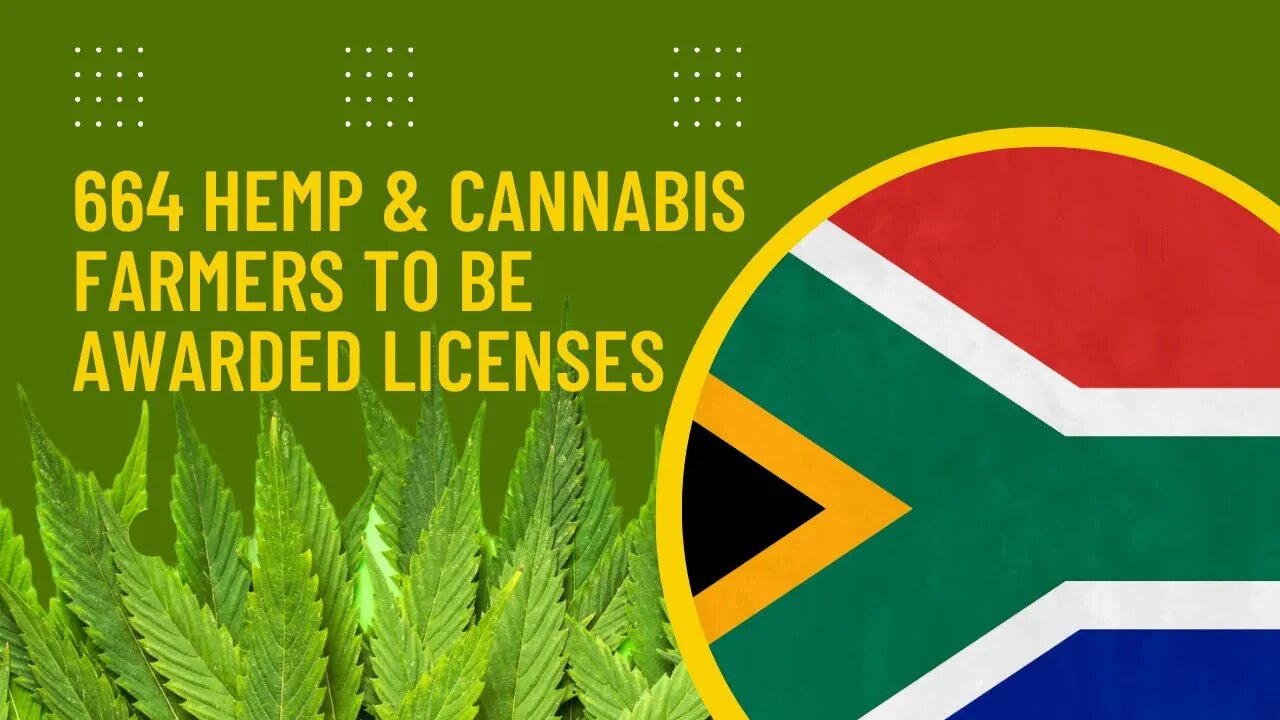 Green Light for 644 Hemp and Cannabis Farmers in KwaZulu-Natal