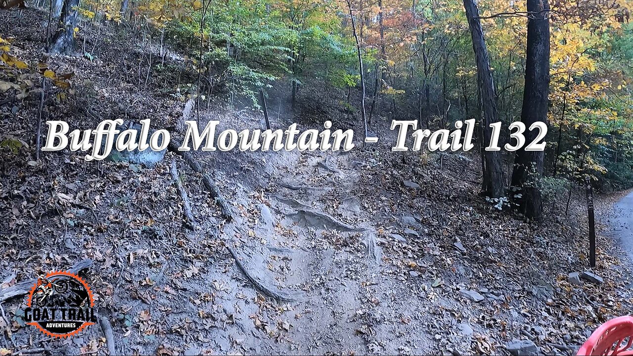 Hatfield McCoy Buffalo Mountain - Trail 132