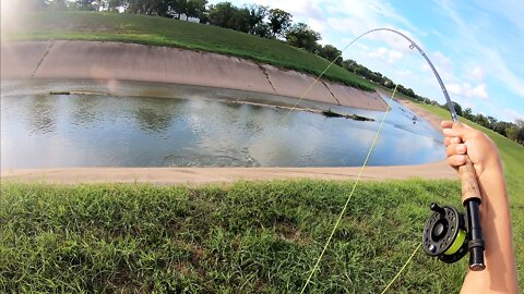 Fly FISHING a dirty SEWER for BIG FISH