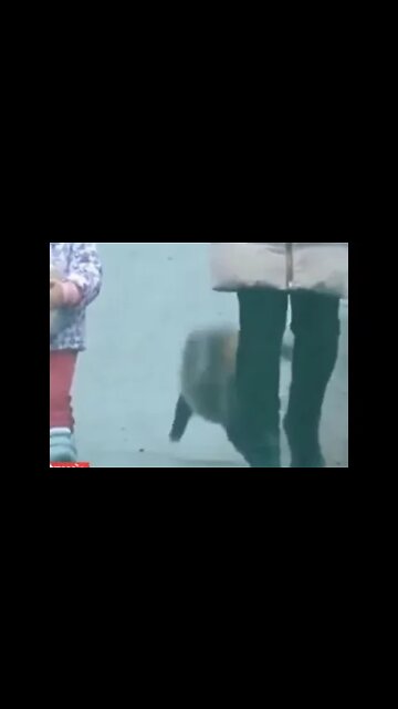 ۱۸ اوت ۲۰۲۲