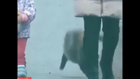 ۱۸ اوت ۲۰۲۲