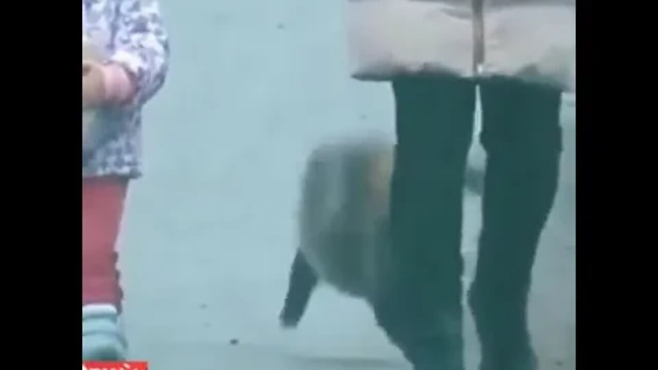 ۱۸ اوت ۲۰۲۲