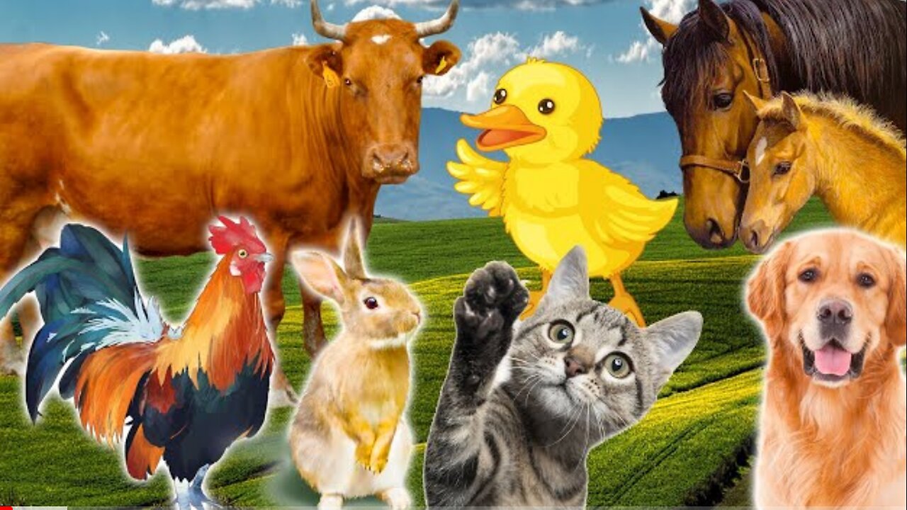 Learn Family Animals: Cat, Horse, Cow, Chicken, Duck