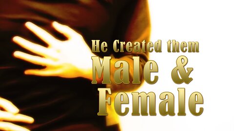 He Created Them Male & Female