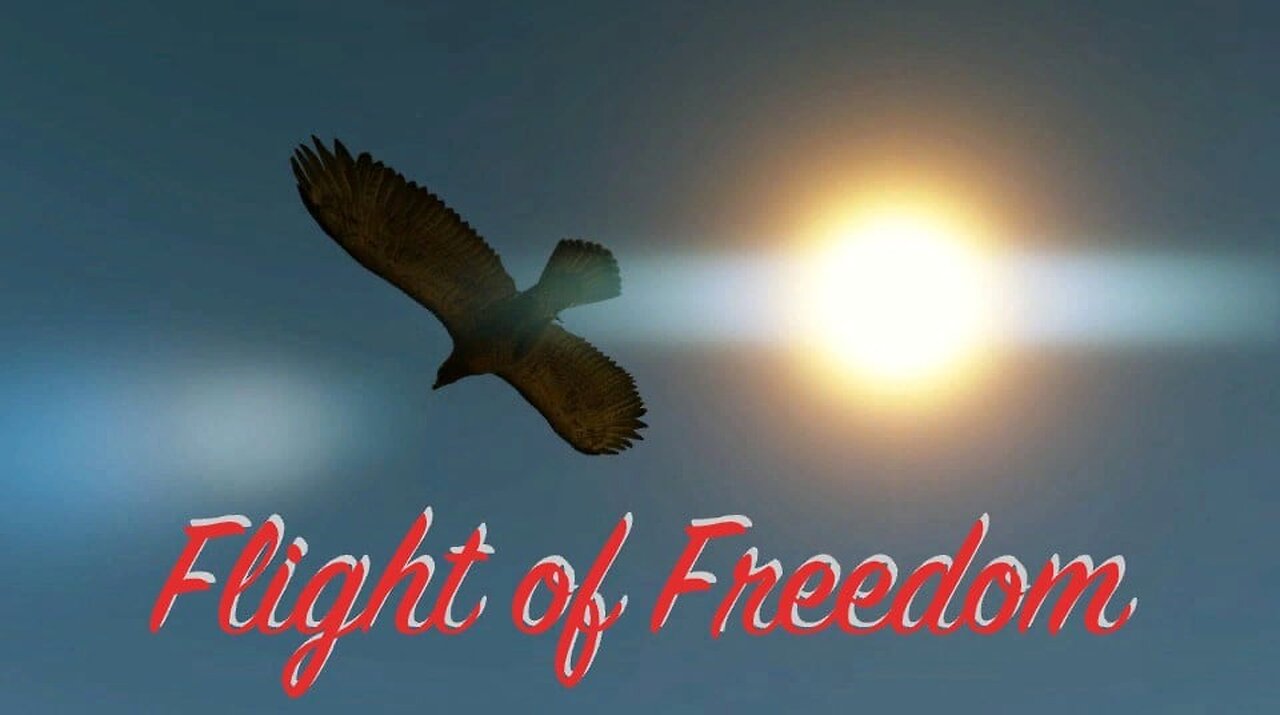 Flight of Freedom