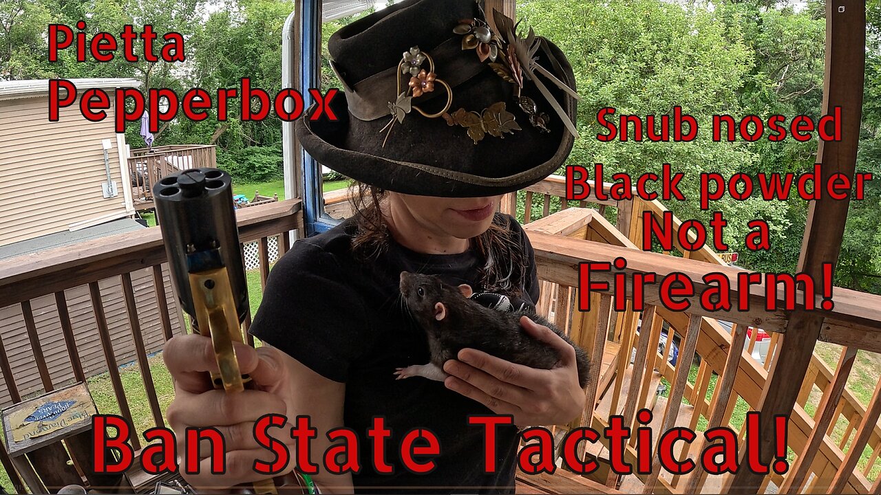 Pietta Pepperbox Not-A-Gun! Youtube Redacted Edition! (Ban State Tactical)