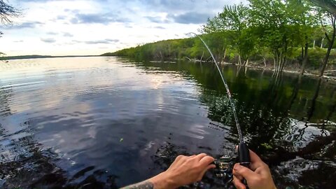 Catching SMALLMOUTH Bass with a Cacovedo Whopper Plopper