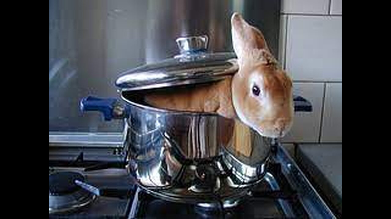 Beware Of The Borderline Bunny Boiler