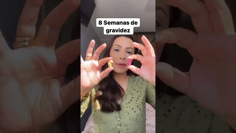 8 semanas de gravidez