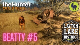 The Hunter: Call of the Wild, Beatty #5 Layton Lakes (PS5 4K)